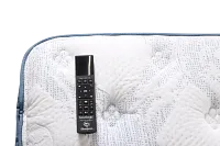 Perfect Sleeper Bay City Plush Baselogic Platinum Adjustable Base Mattress Set