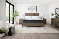 Kevin Charles By Sealy Signature 14" Plush Euro Top Mattress