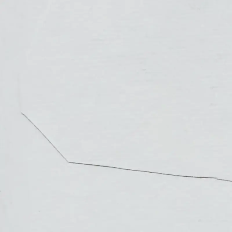 White White