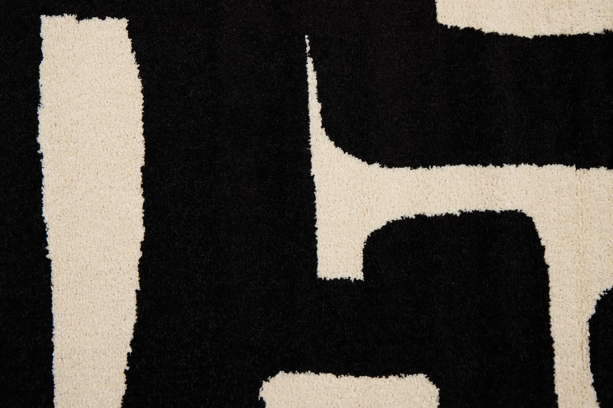 Fran Black 5x7 Area Rug