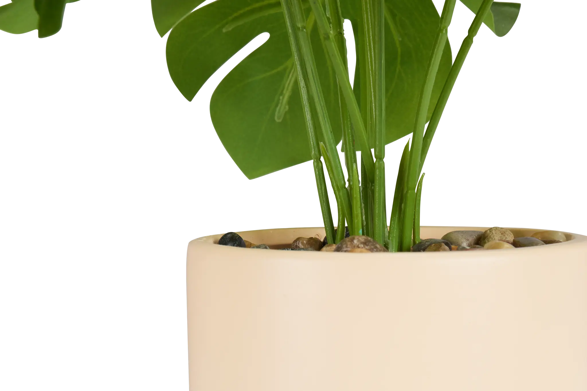 Turtleback Leaf 12" Greenery Turtleback Leaf 12" Greenery