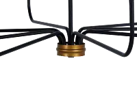 Teagan Black Chandelier