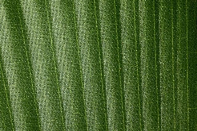 Fiddle Leaf Green 43" Greenery