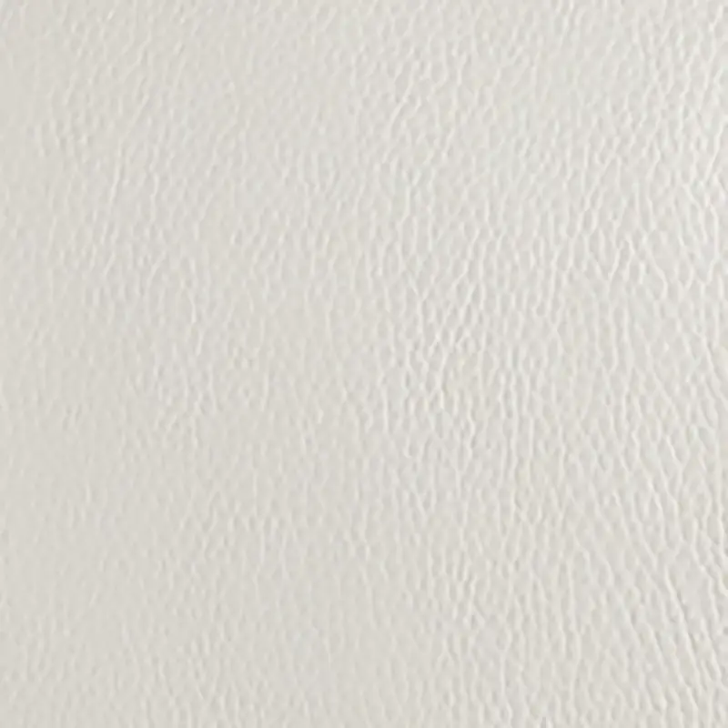 Light Gray Light Gray