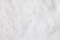 Kaycee White 18" Accent Pillow