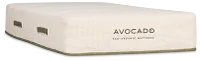 Avocado Eco Organic Organic 10.25" Tight Top Mattress