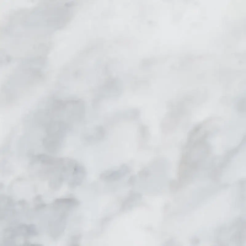 White White