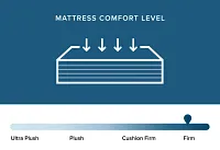 Intellibed Matrix Firm 13.5" Mattress