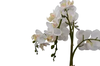 Orchid White 24" Floral Arrangement