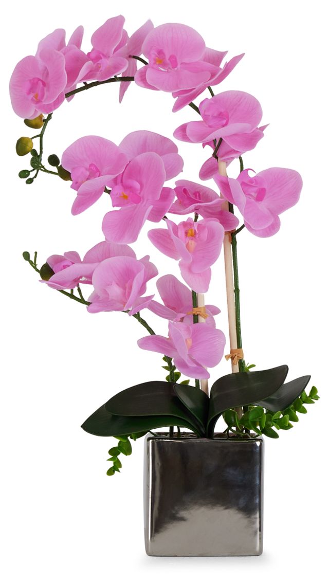 Potted Pink 24" Orchid (1)