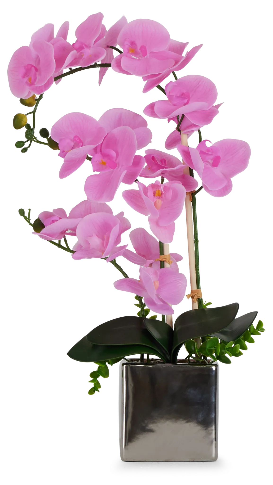 Potted Pink 24" Orchid