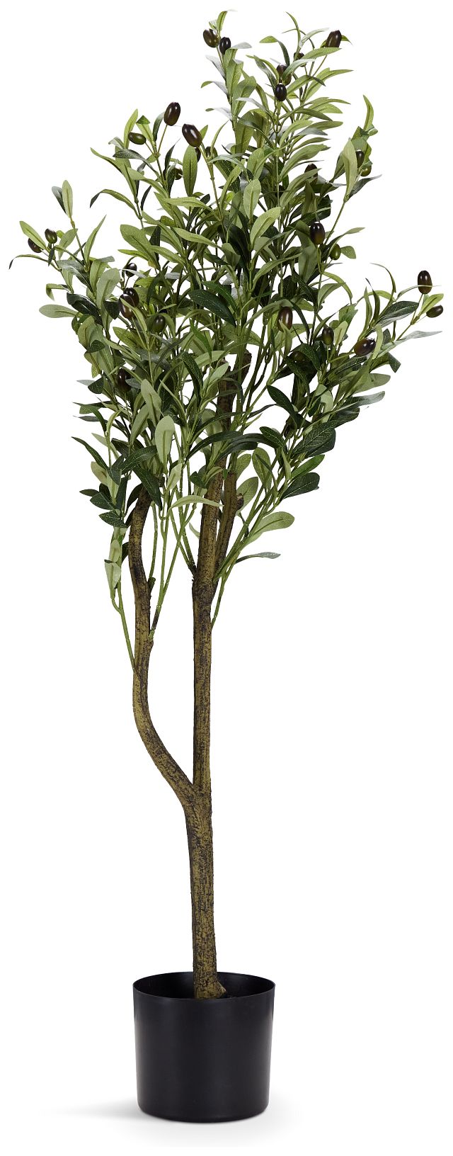 Olive Tree 48" Tree