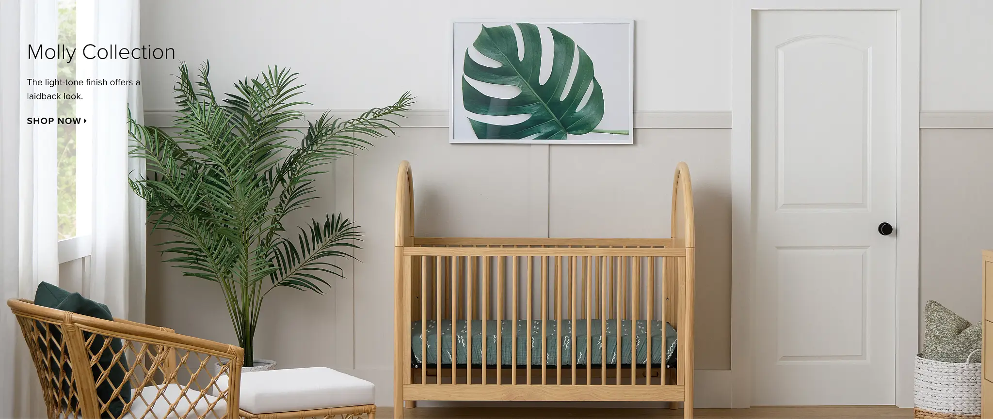 Show Molly Collection Show Molly Collection