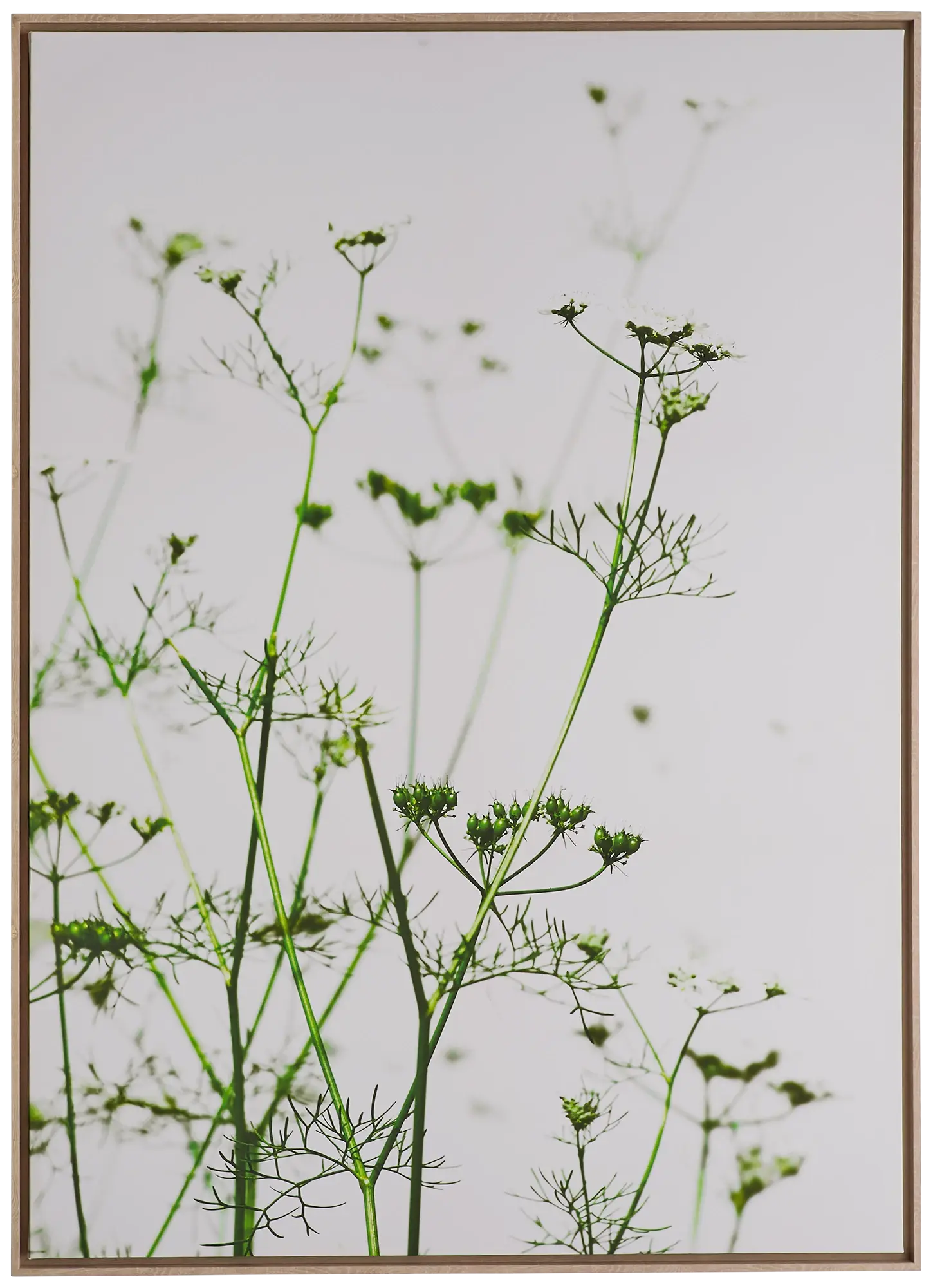Floret Green Framed Wall Art Floret Green Framed Wall Art
