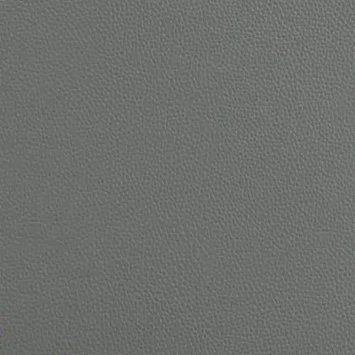 Gray Gray