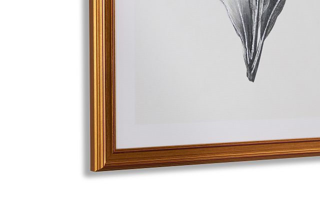 Apolline Gray Canvas Wall Art