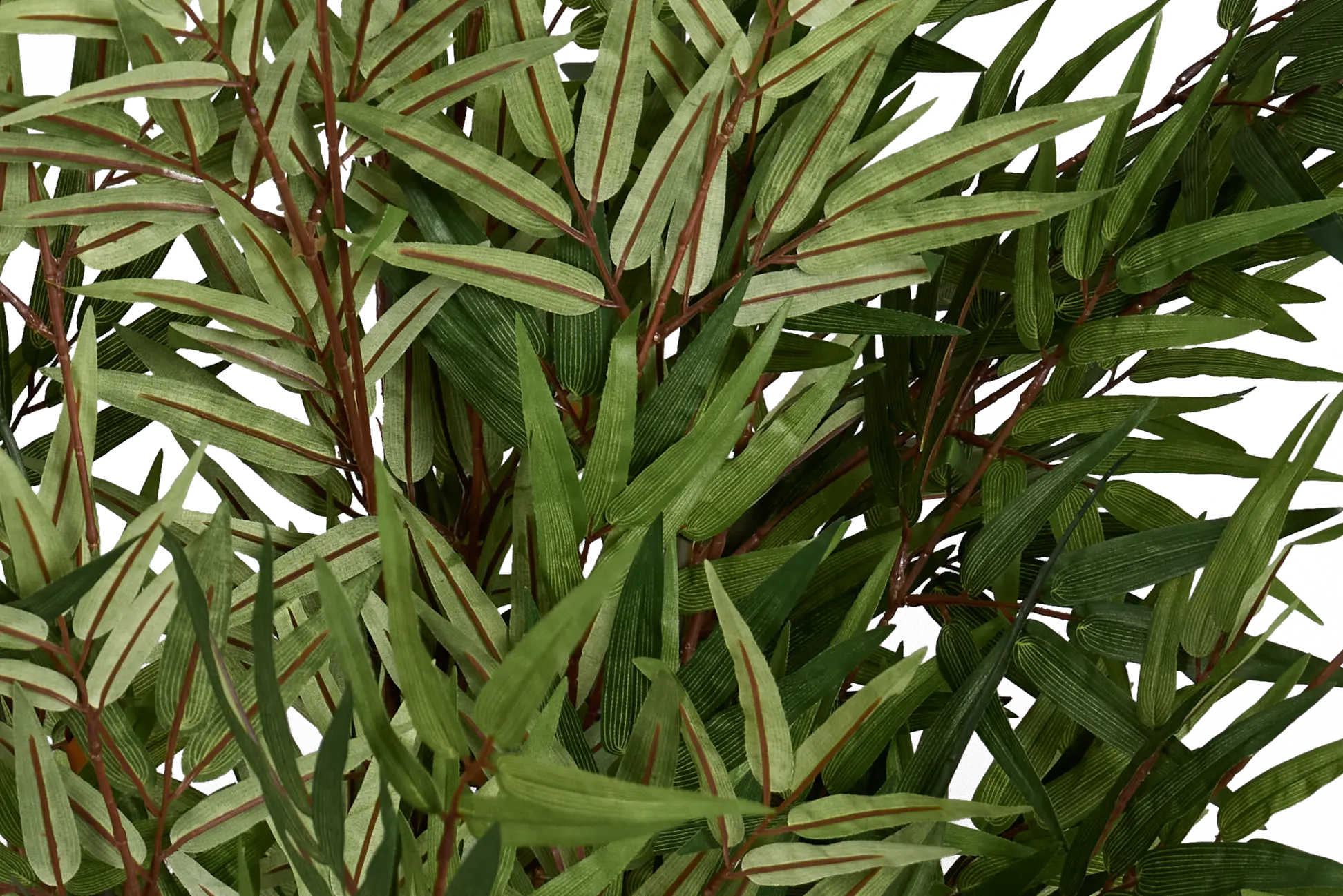Silas 7' Palm Silas 7' Palm