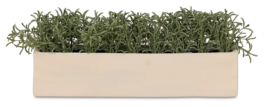 Cactus 21" Green Succulent