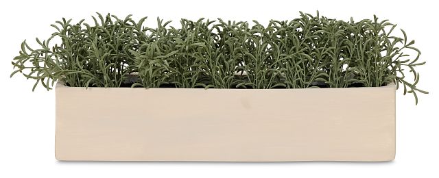Cactus 21" Green Succulent