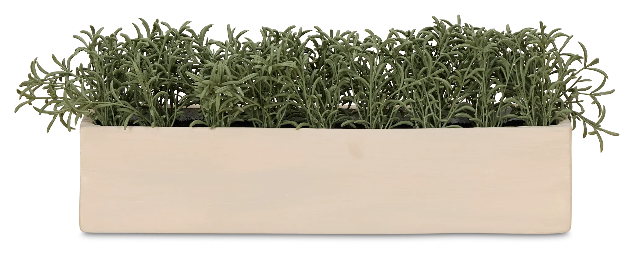 Cactus 21" Green Succulent