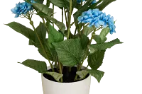 Hyrangea 2' Floral Arrangement