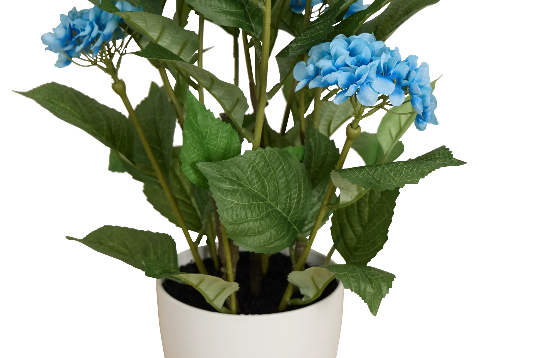 Hyrangea 2' Floral Arrangement Hyrangea 2' Floral Arrangement