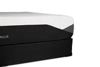 Zinus Endura 1.0 Firm Mattress Set