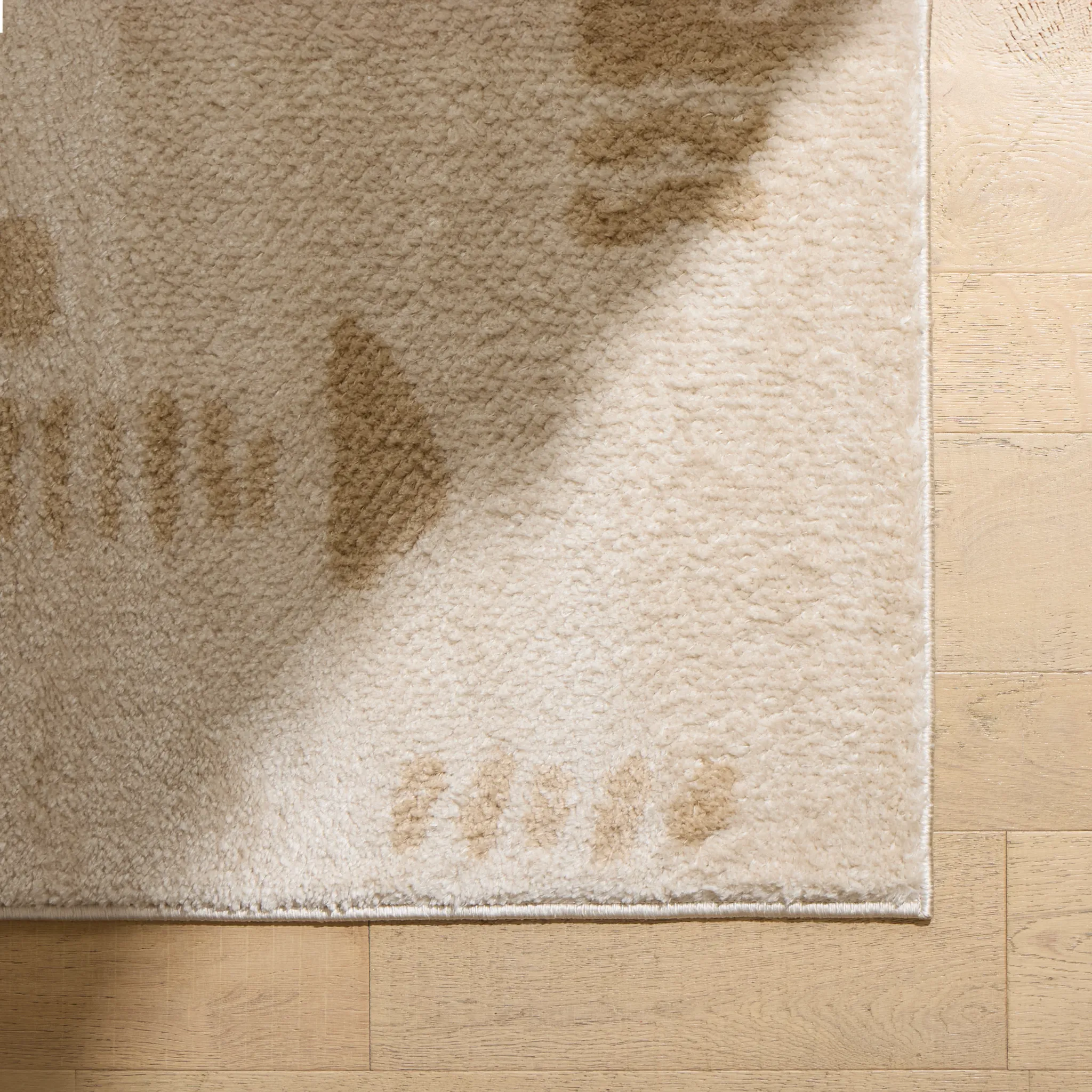 Sammie Ivory 8x10 Area Rug