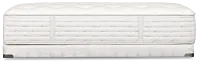 Aireloom Timeless Odyssey Streamline M1 15.5" Plush Mattress