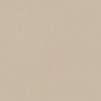 Captiva Peyton Beige 60" Upholstered Shelter Bed