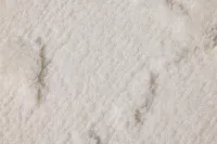 Sarna White 5x8 Area Rug