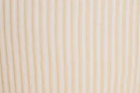 Elula Ivory Small Vase