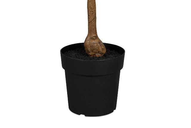 Olive 5' Green Tree