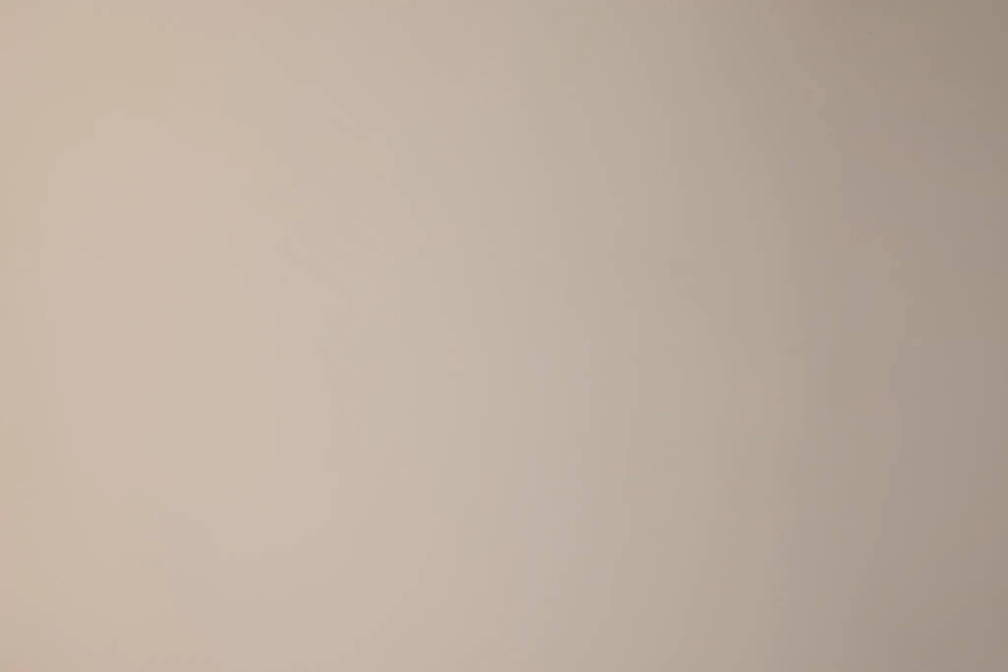 Brasilia Light Beige Platform Bed Brasilia Light Beige Platform Bed