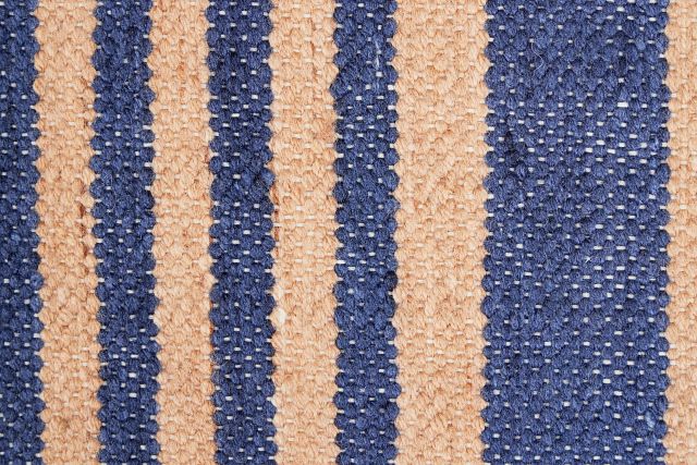 Gingera Blue Indoor/outdoor 8x10 Area Rug