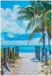 Beach Walk Blue Acrylic Wall Art
