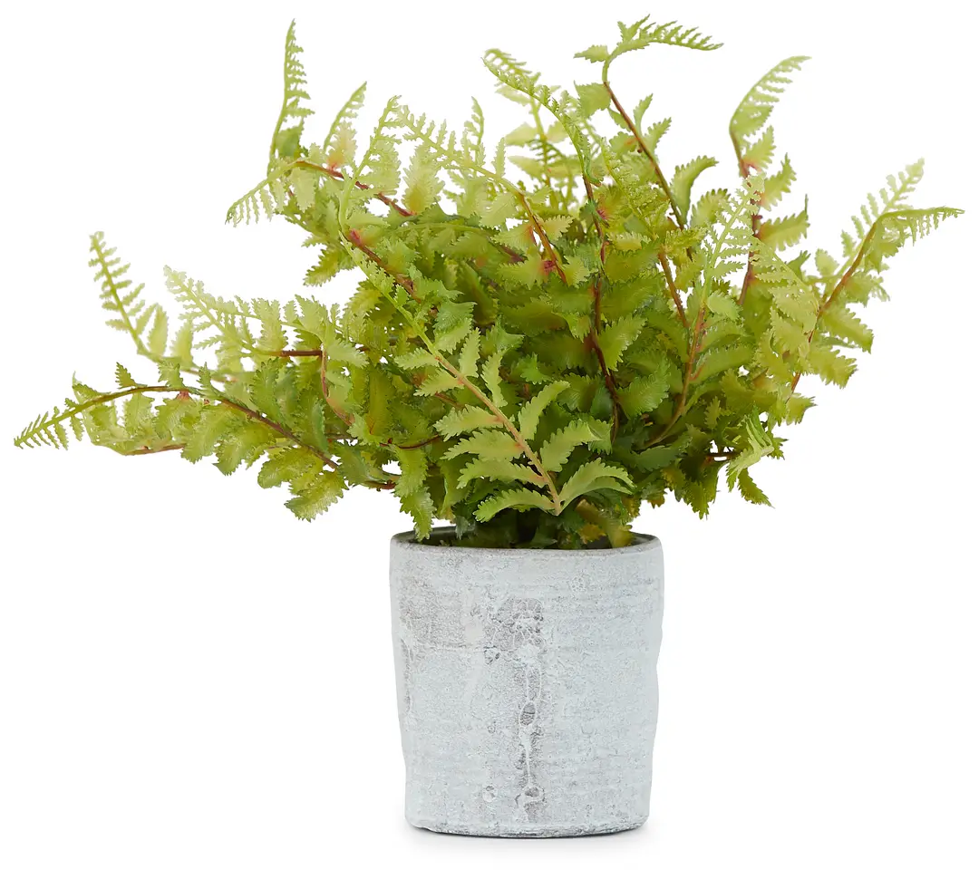 Story Cement Greenery Story Cement Greenery