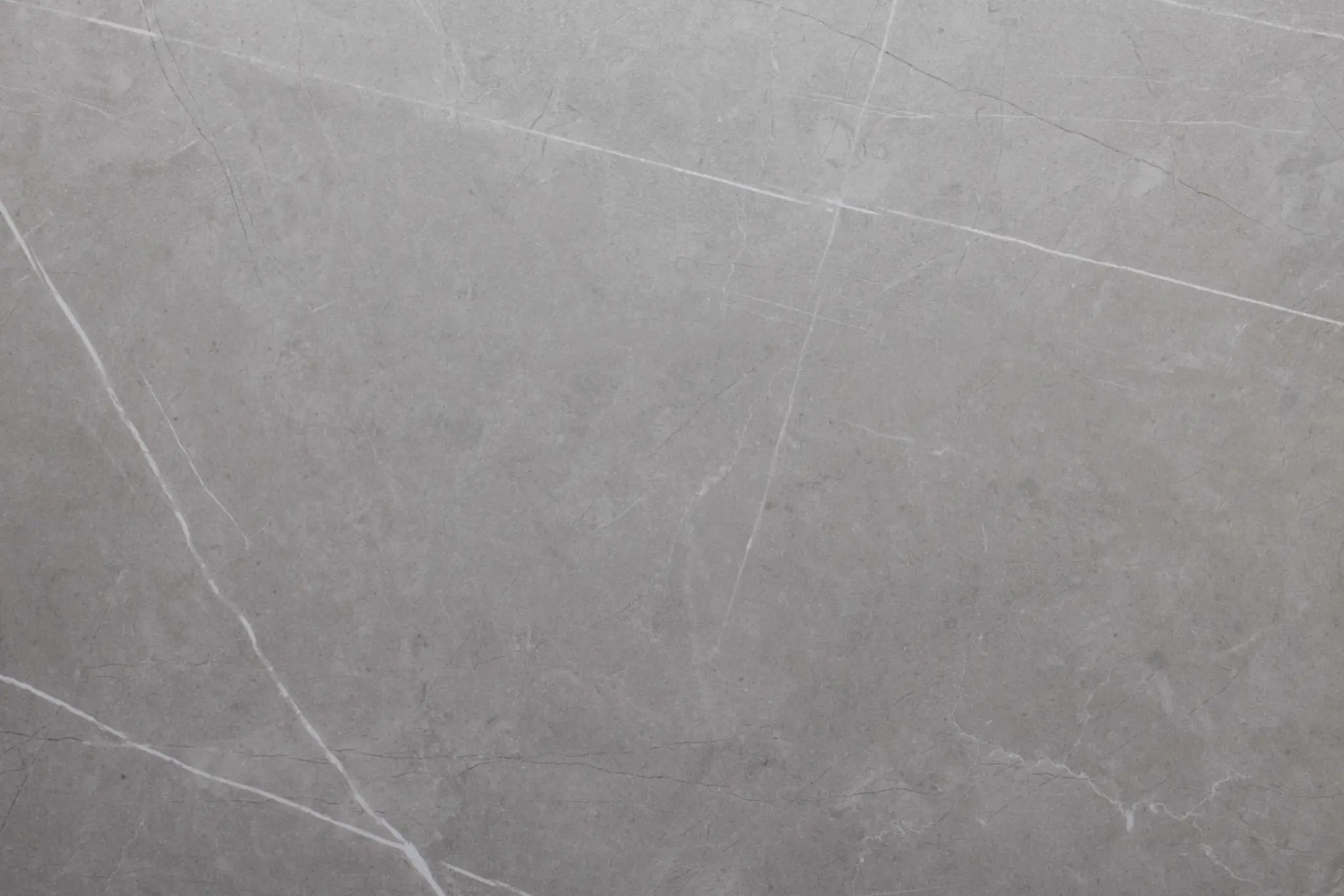 Gray Gray