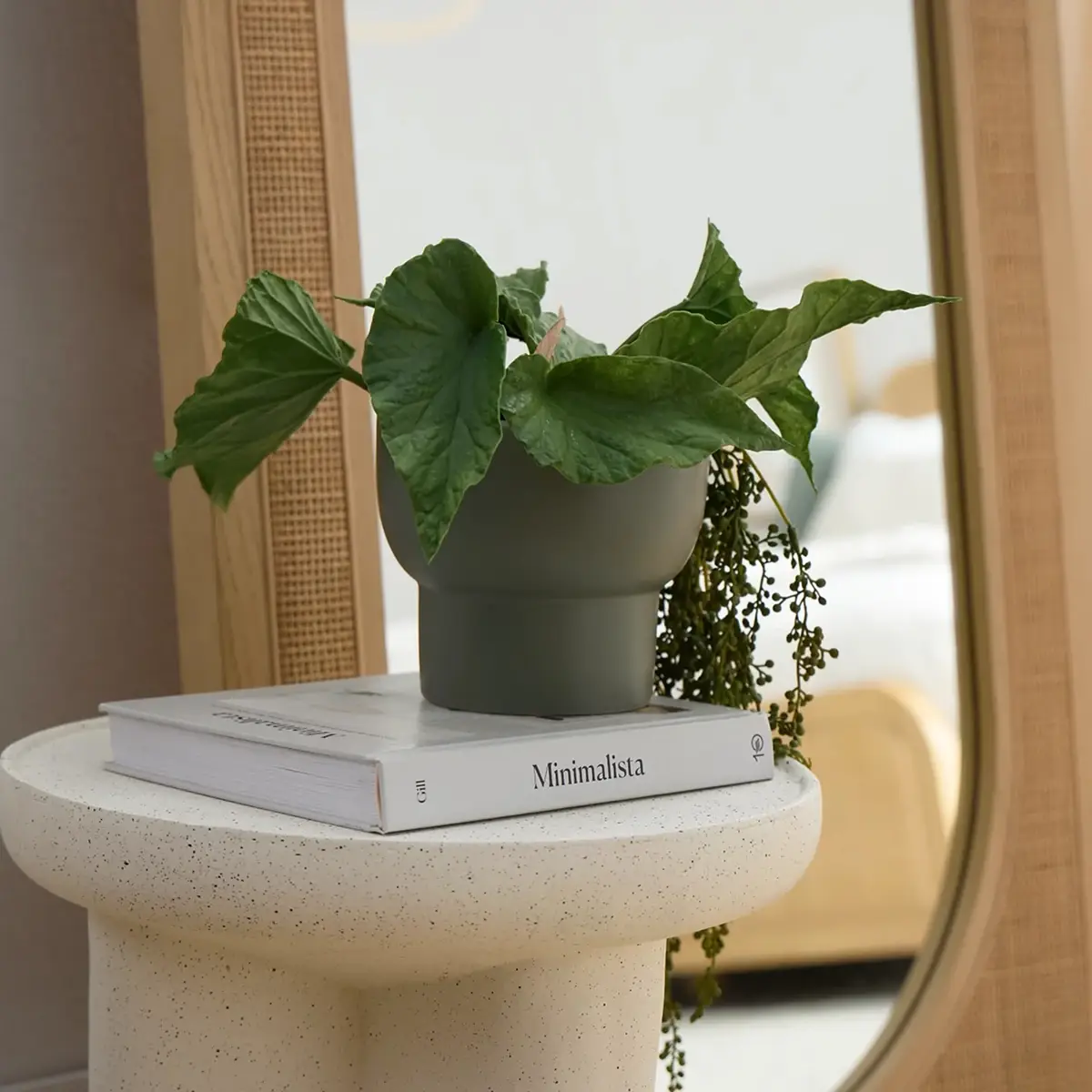 Plants