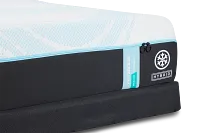 Tempur-pedic Tempur-probreeze Medium Low-profile Mattress Set