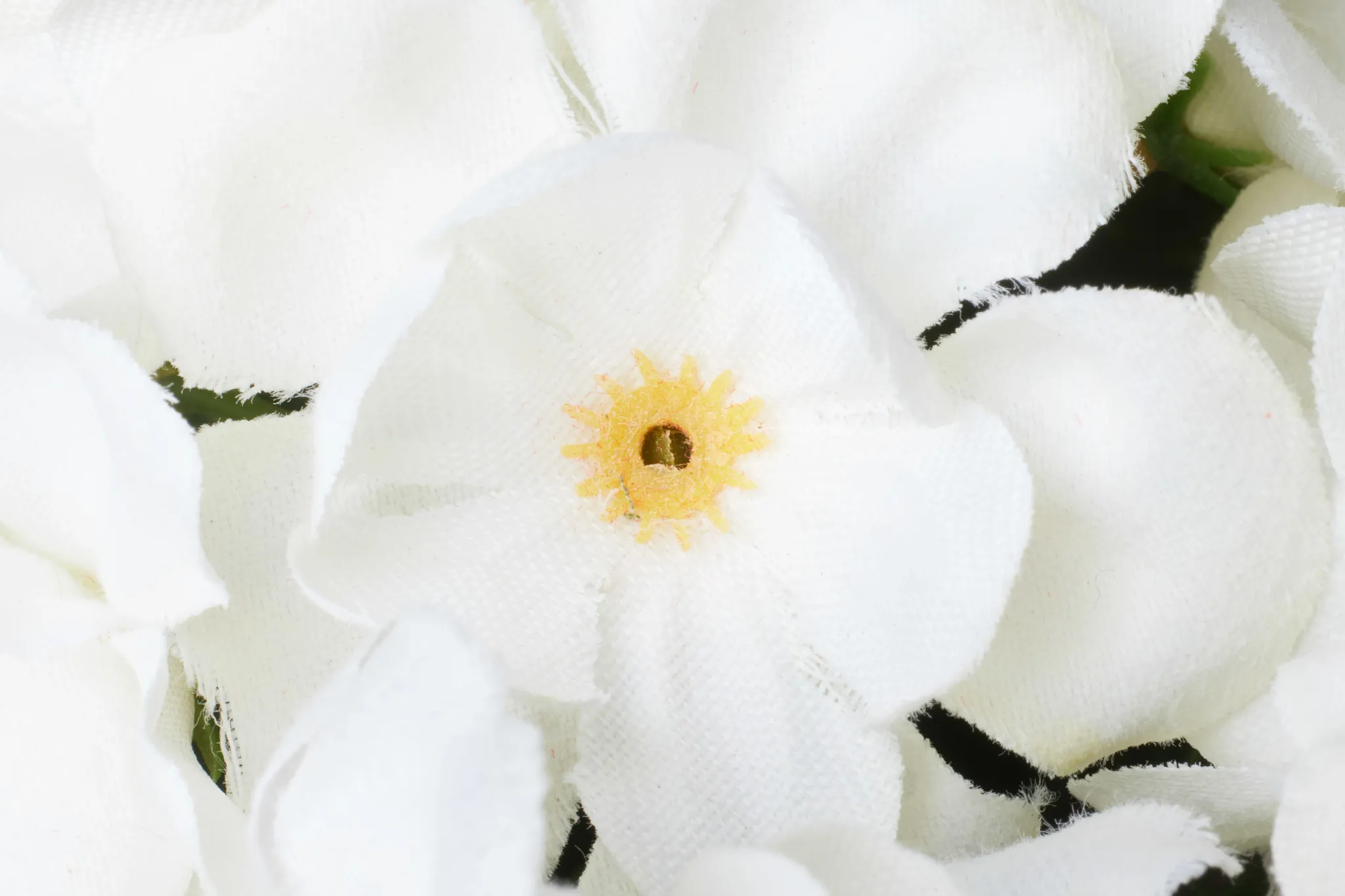 Begonia White 11" Floral Arrangement