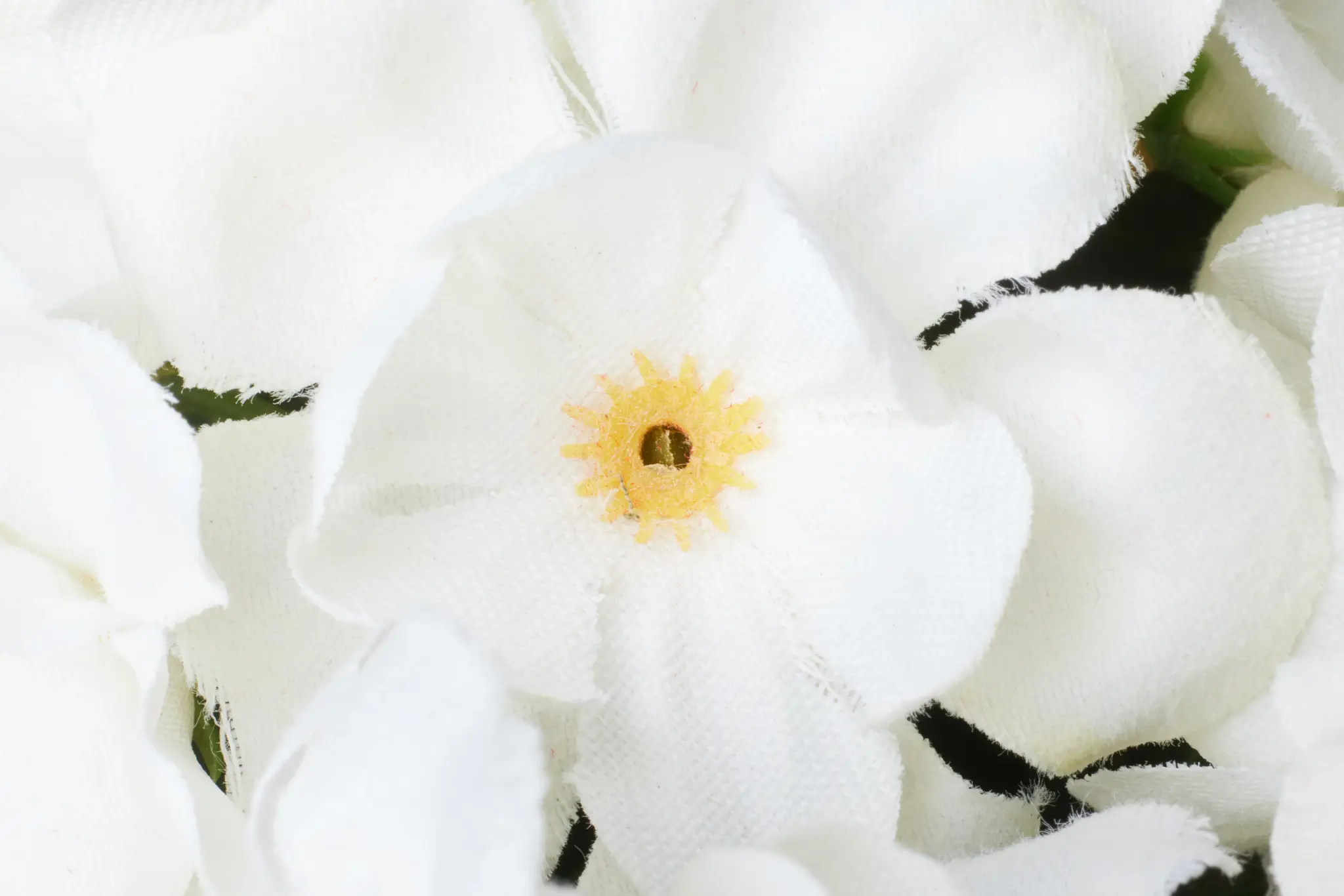 White White