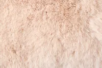 Kaycee Light Pink 22" Accent Pillow