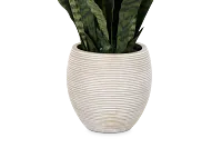 Snake 40" Greenery