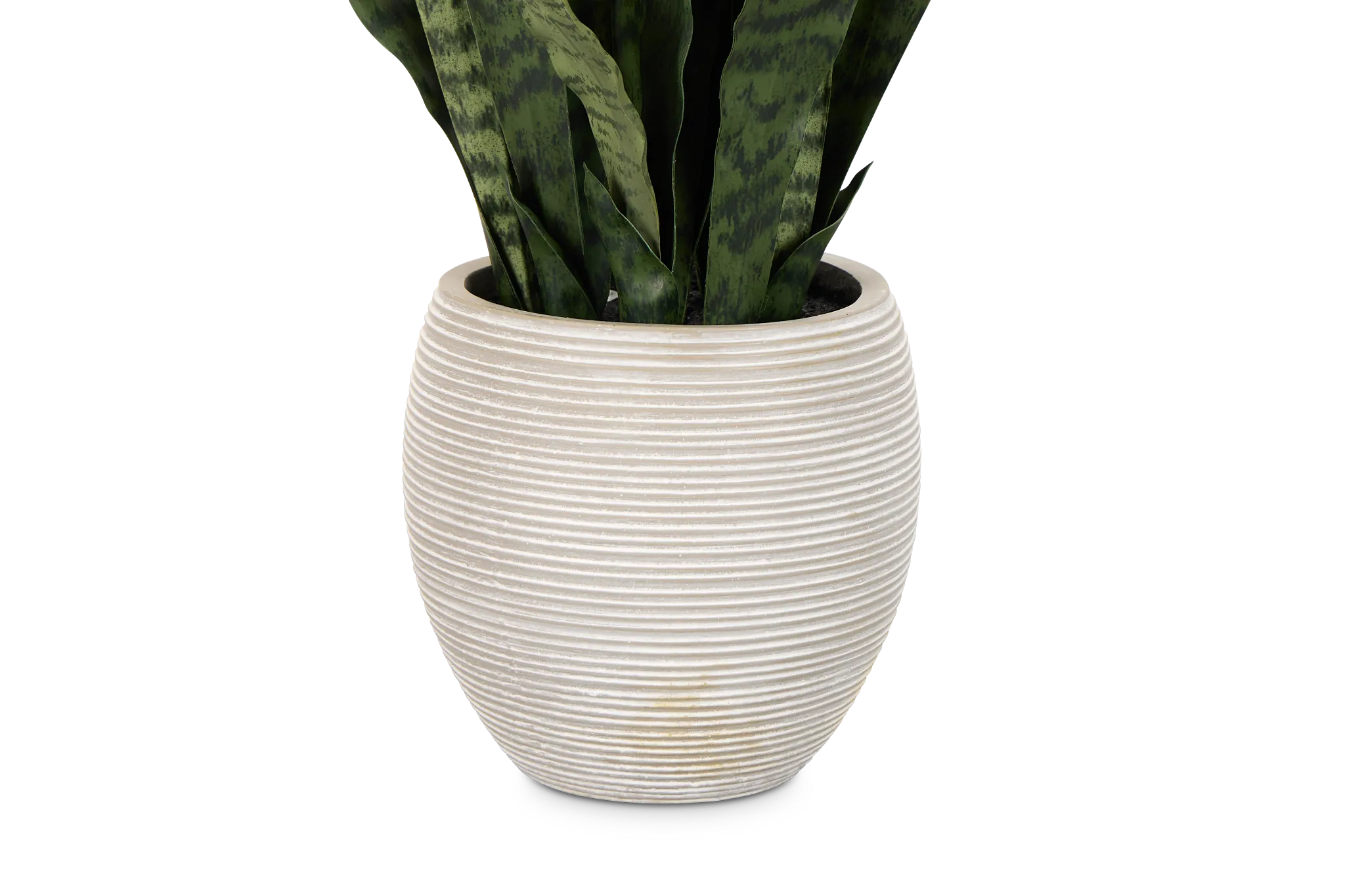 Snake 40" Greenery