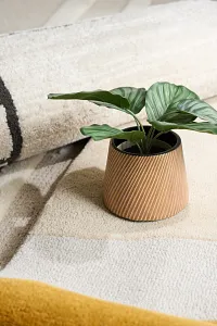 Edessa Brown Large Planter