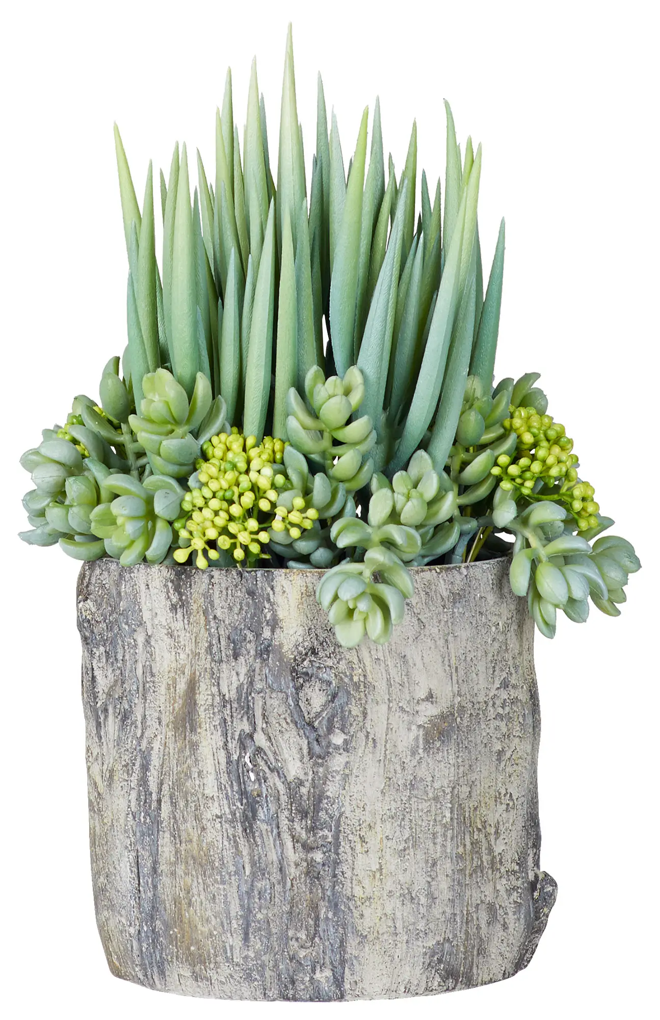 Jasper Succulent Jasper Succulent