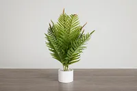 Fern Plant 24" Greenery