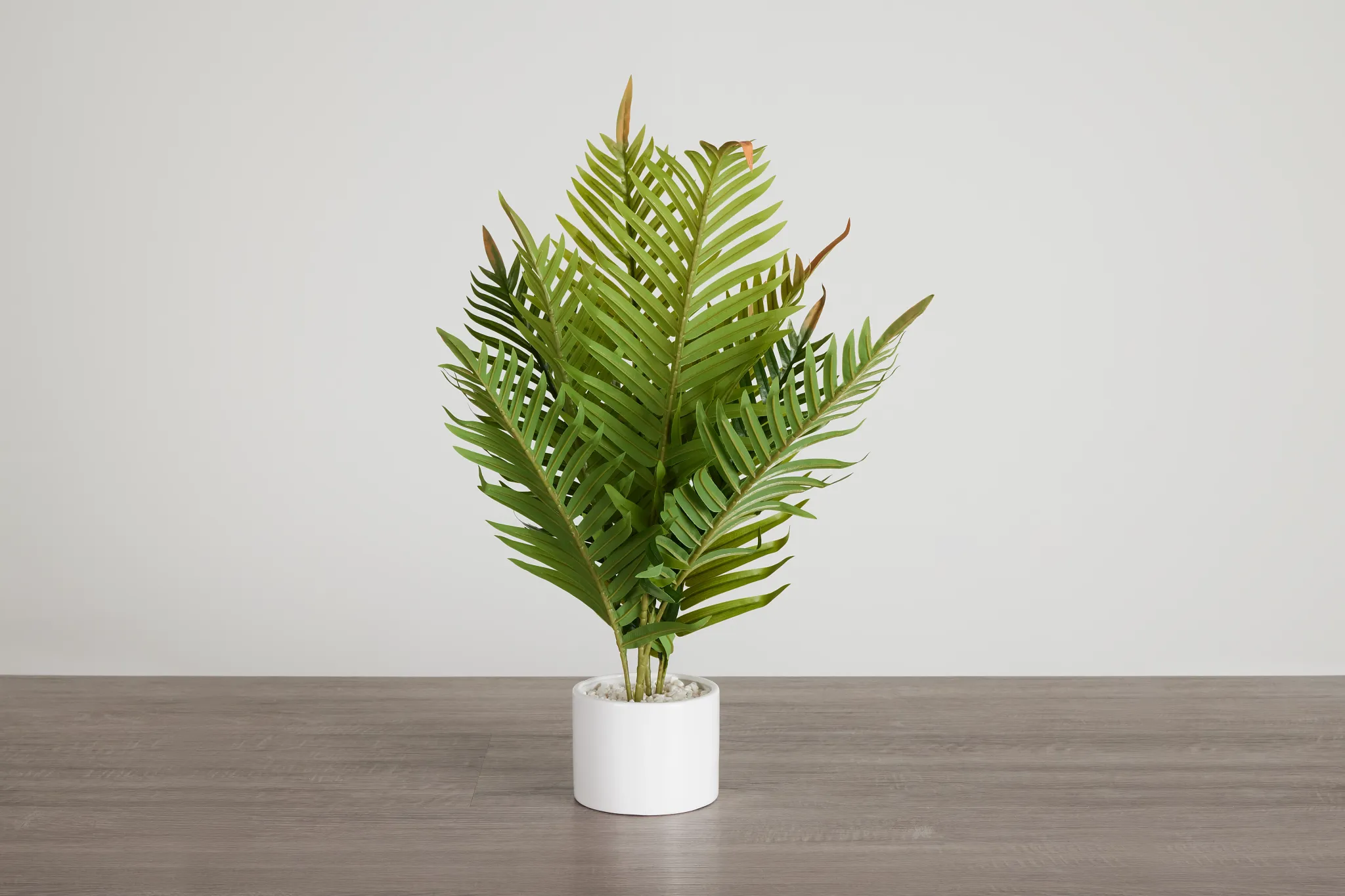 Fern Plant 24" Greenery