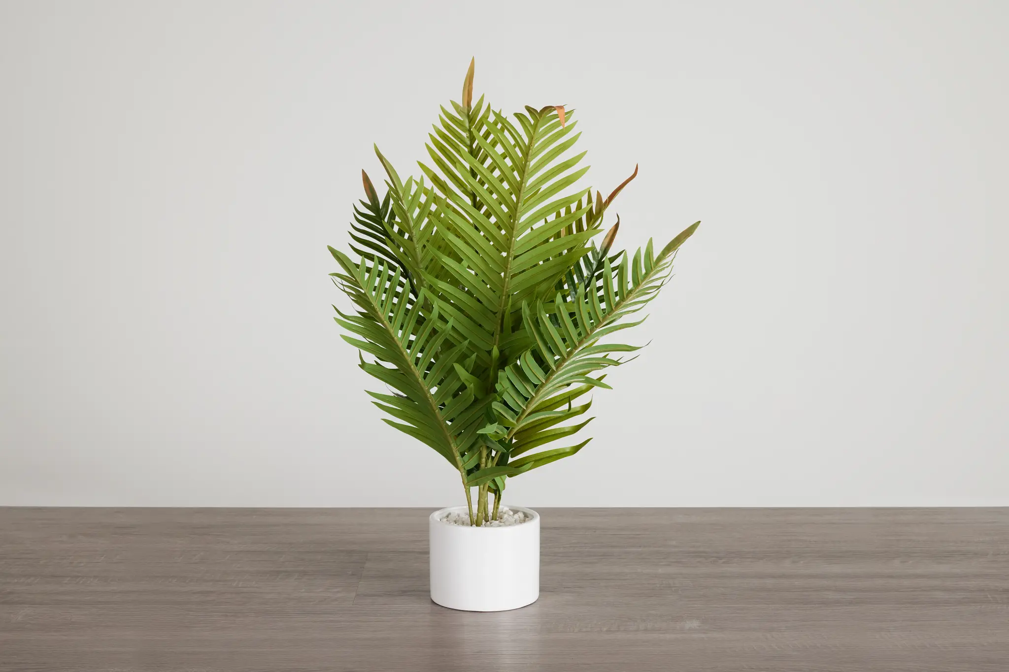 Fern Plant 24" Greenery Fern Plant 24" Greenery